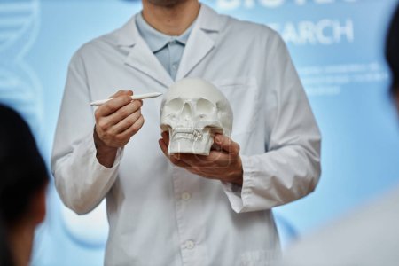 Téléchargez les photos : Plan recadré du médecin pointant vers le modèle du crâne lors d'une conférence ou d'un séminaire en fac de médecine, expliquant la structure osseuse et les méthodes de chirurgie cérébrale - en image libre de droit