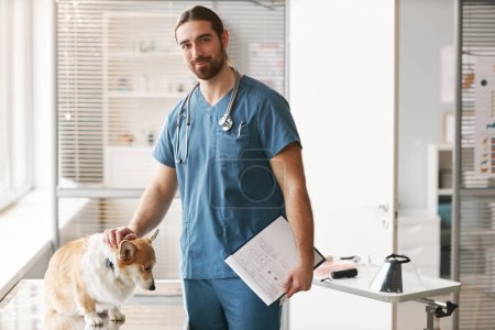 Photo for Young confident male veterinarian in blue uniform standing by workplace in vet clinics, cuddling sick corgi dog and looking at camera - Royalty Free Image