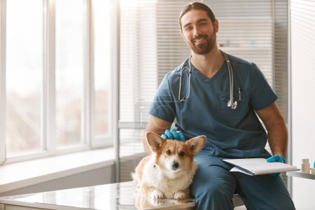 Foto de Éxito médico veterinario masculino con documento médico abrazo cabeza de lindo perro galés pembroke corgi mientras está sentado en el lugar de trabajo - Imagen libre de derechos