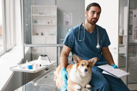 Photo for Young confident male veterinary doctor in uniform and sick corgi dog sitting by workplace in medical office before examination - Royalty Free Image
