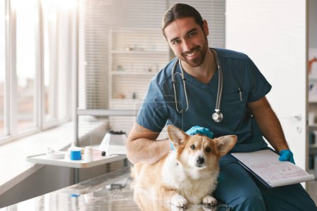 Photo for Happy young professional veterinary doctor with purebred welsh pembroke corgi dog on table looking at camera in medical office - Royalty Free Image