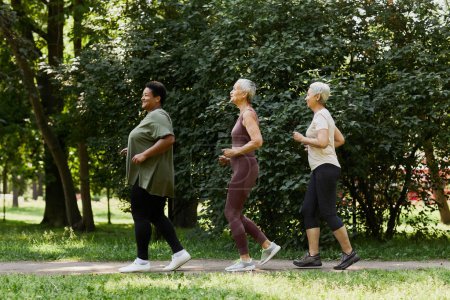 Téléchargez les photos : Portrait latéral de femmes âgées actives faisant du jogging dans le parc à l'extérieur et pratiquant des sports - en image libre de droit