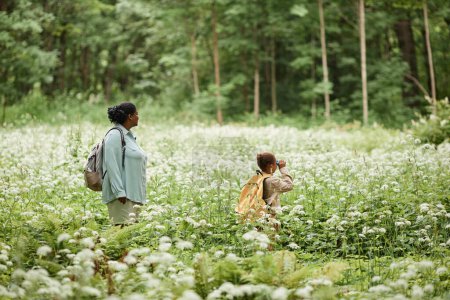 Téléchargez les photos : Portrait latéral de mère et fille marchant à travers le champ de fleurs forestières tout en marchant ensemble - en image libre de droit