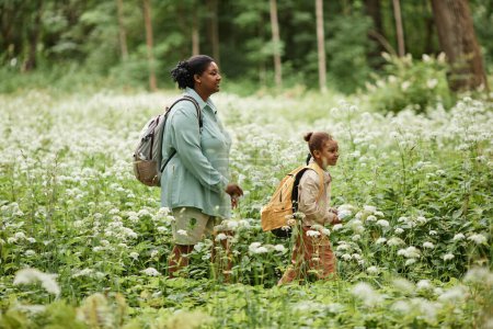 Téléchargez les photos : Vue de côté portrait de mère et fille marchant à travers prairie tout en randonnée dans la nature ensemble - en image libre de droit