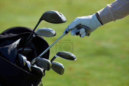 Photo for Closeup of unrecognizable golf player choosing club and taking out of golf bag against green grass background - Royalty Free Image