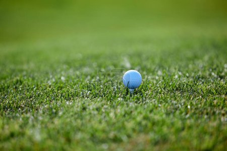 Photo for Close up background image of golf ball on green grass in sunlight, copy space - Royalty Free Image