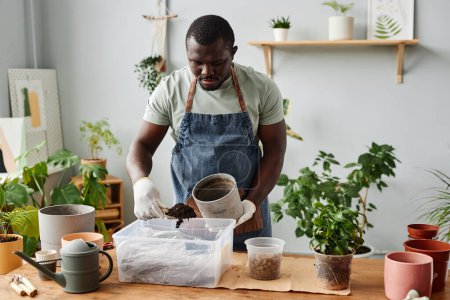 Téléchargez les photos : Portrait taille haute de l'homme noir rempotage plantes à l'intérieur et ramasser mélange de terre fraîche, copier l'espace - en image libre de droit