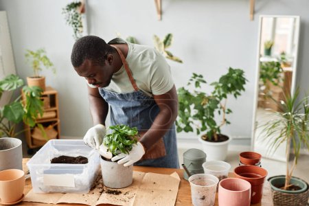 Foto de Retrato de cintura hacia arriba de plantas de replantación de hombres afroamericanos en interiores recogiendo cuidadosamente la mezcla de suelo, espacio de copia - Imagen libre de derechos