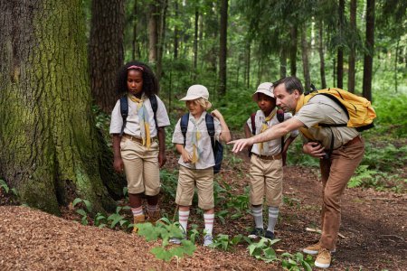 Foto de Vista completa en un grupo diverso de exploradores explorando la naturaleza durante una excursión en el bosque - Imagen libre de derechos
