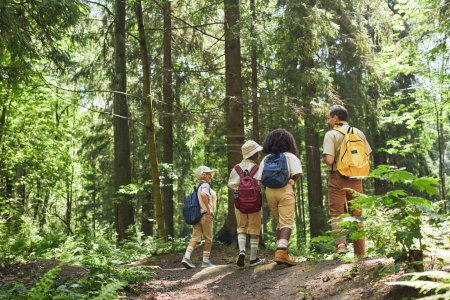 Téléchargez les photos : Vue arrière grand angle à divers groupes de scouts randonnée en forêt avec leader adulte, espace de copie - en image libre de droit