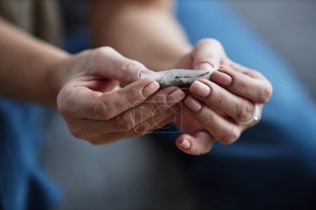 Foto de Primer plano de las manos femeninas enrollando el cigarrillo con fines terapéuticos y tratamiento médico, espacio de copia - Imagen libre de derechos