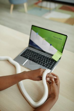 Weiße Natter kriecht über die Hand einer jungen Afroamerikanerin, die mit Laptop am Arbeitsplatz sitzt, während sie im häuslichen Umfeld netzwerkelt