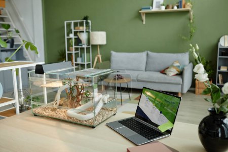 Photo for Workplace of freelancer or entrepreneur with laptop and white rat snake in transparent glass terrarium standing on desk in living room - Royalty Free Image