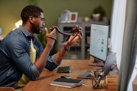 Junger Geschäftsmann mit einer Rattenschlange in der Hand, die grafische Daten auf dem Computerbildschirm analysiert, während er am Arbeitsplatz vor dem Bildschirm sitzt