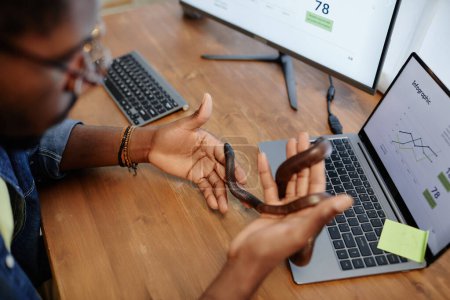 Konzentrieren Sie sich auf die Hände eines jungen Mannes, der am Schreibtisch mit Desktop-Computern sitzt und eine Rattenschlange hält, die seine Finger umschlingt und über die Handfläche kriecht