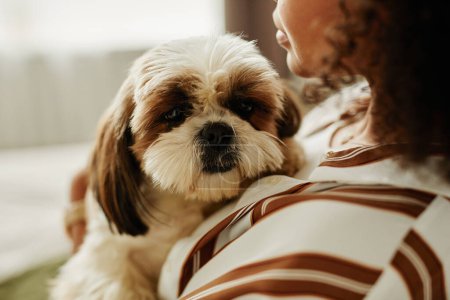 Closeup portrait of cute small dog cuddling with young woman and looking at camera