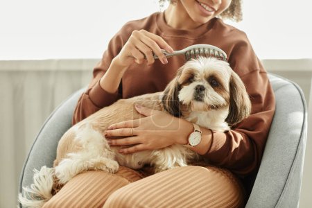 Foto de Retrato de lindo perro de pelo largo disfrutando de cepillado y cuidado de mascotas mientras está sentado en regazo de mujeres jóvenes - Imagen libre de derechos