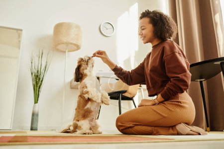 Foto de Retrato de vista lateral de una joven negra jugando con un lindo perro Shih Tzu y entrenando perros - Imagen libre de derechos