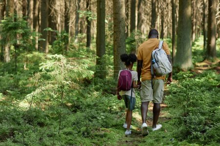 Téléchargez les photos : Vue arrière du père avec un enfant avec des sacs à dos marchant le long de la forêt pendant leur randonnée - en image libre de droit