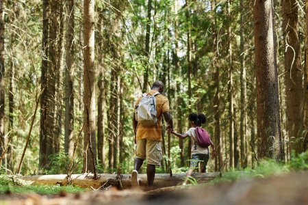 Téléchargez les photos : Vue arrière de la famille de deux avec sacs à dos marchant dans la forêt pendant la randonnée - en image libre de droit