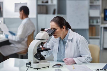 Photo for Portrait of young woman scientist looking in microscope while doing research in laboratory, copy space - Royalty Free Image