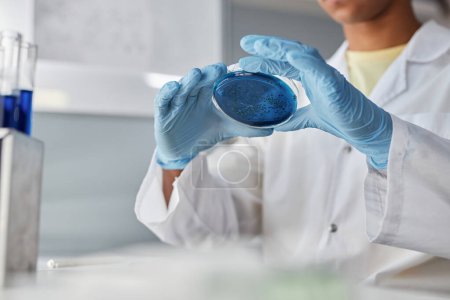 Foto de Primer plano de la científica que sostiene la placa de Petri con líquido azul mientras investiga en laboratorio, espacio de copia - Imagen libre de derechos