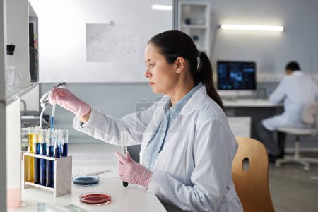 Photo for Side view portrait of female scientist doing tests at workstation in modern laboratory, copy space - Royalty Free Image