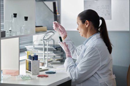 Téléchargez les photos : Portrait latéral de femme scientifique faisant des tests au poste de travail dans un laboratoire moderne, espace de copie - en image libre de droit