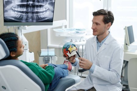 Side view portrait of professional male dentist working with patient in medical clinic and holding skull model, copy space