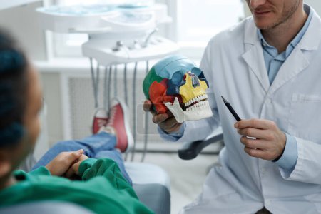 Photo for Closeup of professional male dentist holding skull model while consulting patient on tooth implantation technique, copy space - Royalty Free Image