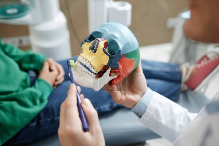 Téléchargez les photos : Gros plan du dentiste masculin tenant le modèle et démontrant la technique de brossage des dents dans la clinique dentaire - en image libre de droit