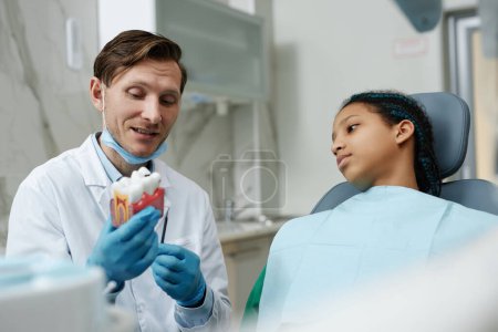 Téléchargez les photos : Portrait d'un dentiste amical tenant un modèle dentaire tout en consultant un enfant patient dans une clinique dentaire - en image libre de droit