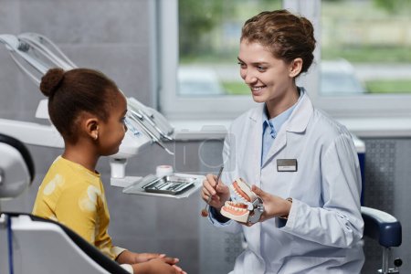 Téléchargez les photos : Portrait latéral d'une femme dentiste amicale parlant à une petite fille dans une clinique dentaire et tenant un modèle dentaire - en image libre de droit