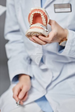 Foto de Primer plano vertical del dentista femenino irreconocible sujetando el modelo de diente a la cámara, espacio de copia - Imagen libre de derechos
