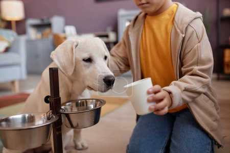 Photo for Closeup of little girl giving food to cute labrador puppy at home, pet care, copy space - Royalty Free Image