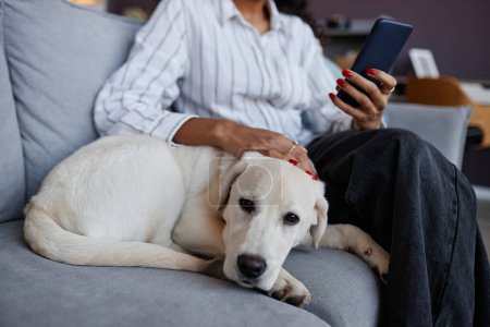 Téléchargez les photos : Portrait de chien blanc mignon couché sur le canapé et câlin avec la jeune femme caressant, espace de copie - en image libre de droit