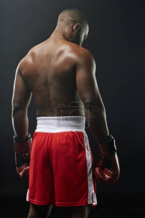 Photo for Vertical shot of muscular African American boxer with bare back to camera standing in studio and wearing red shorts - Royalty Free Image