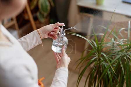 Foto de Primer plano de la mujer joven nebulizando plantas de interior verdes en casa y sosteniendo el espacio de copia de botella de spray de riego de vidrio diminuto - Imagen libre de derechos
