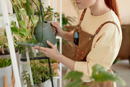 Nahaufnahme einer jungen Frau, die grüne Pflanzen in Regalen zu Hause oder im Blumenladen gießt