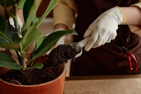 Foto de Primer plano de las manos femeninas añadiendo tierra para plantar mientras disfruta de la jardinería en casa, espacio para copiar - Imagen libre de derechos