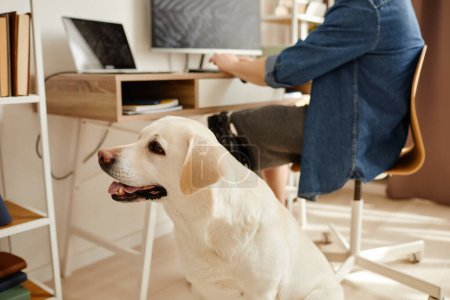 Portrait de chien labrador blanc attendant par l'homme travaillant à la maison avec ordinateur, espace de copie