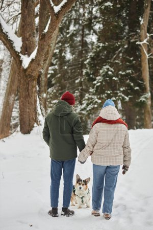 Foto de Vista trasera de larga duración de la pareja cogida de la mano en el bosque de invierno y caminando con lindo perro corgi - Imagen libre de derechos
