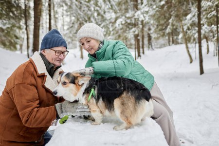 Photo for Happy senior couple spending time with corgi dog in winter park - Royalty Free Image