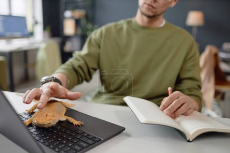 Foto de Primer plano de hombre irreconocible acariciando iguana sentado en el teclado del ordenador portátil mientras trabaja en espacio de copia de oficina para mascotas - Imagen libre de derechos