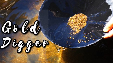 Photo for Particles of gold in a round bowl - Royalty Free Image
