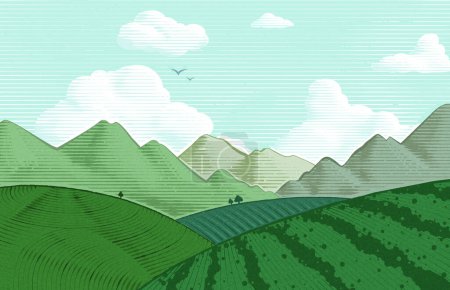Foto de Estilo grabado plantación de té y montañas paisaje fondo. - Imagen libre de derechos