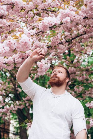 Porträt eines Mannes mit rotem Bart im blühenden Garten. Gleichstellung der Geschlechter. Der Frühling kam