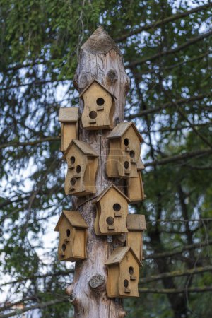 Téléchargez les photos : Beaucoup de nichoirs suspendus sur un pilier en bois, maisons pour oiseaux, fait à la main, petite maison pour oiseaux, Ukraine, gros plan - en image libre de droit