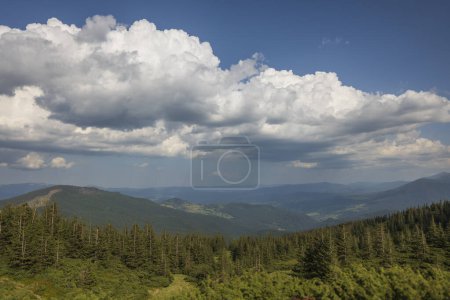 Foto de Hermosa zona montañosa en un día soleado en verano. Pintoresca escena en las montañas de los Cárpatos, Ucrania, Europa. Naturaleza y medio ambiente - Imagen libre de derechos