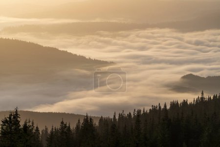 Foto de Beautiful landscape of morning foggy of the Carpathian mountains on a sunny day in summer. Morning clouds at sunrise.Landscape of fog and mountains of Western Ukraine, Europe - Imagen libre de derechos